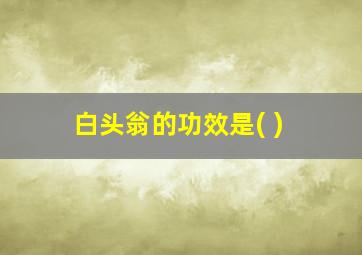 白头翁的功效是( )